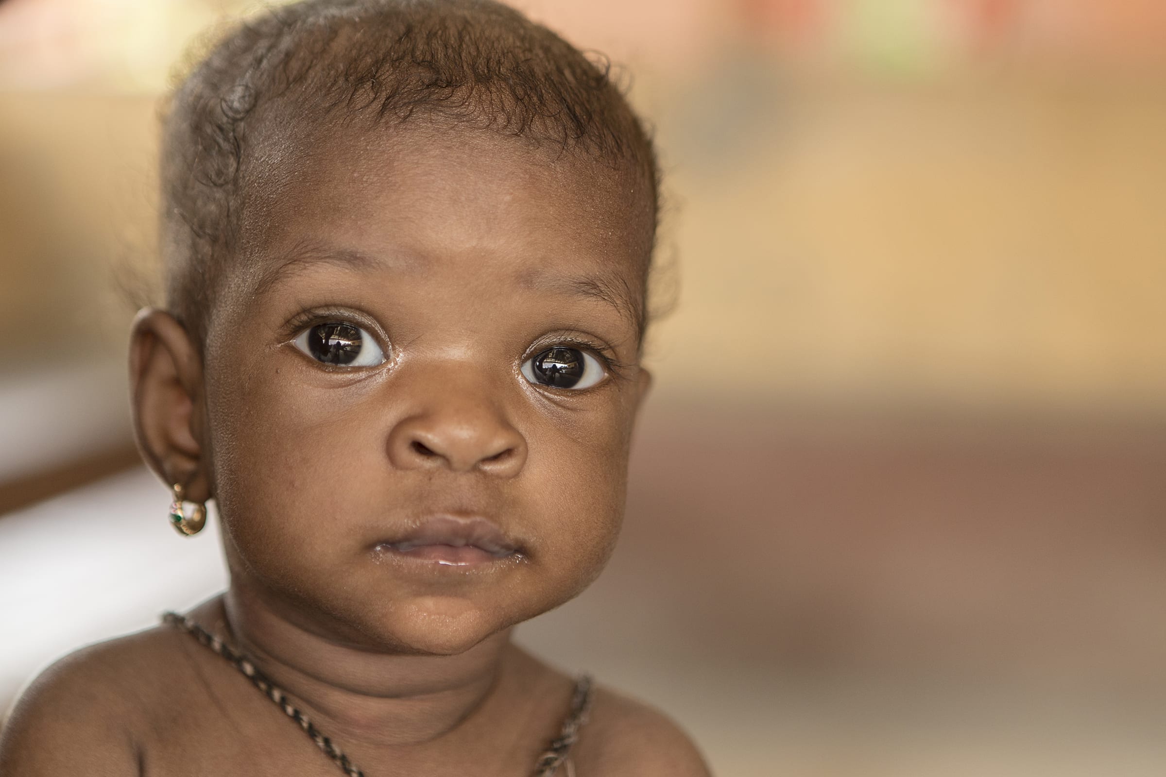 1700-sierraleone-190-shauensteinswan_78b5506